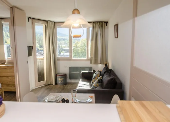 à Avec Vue Mont-blanc, Capacité 4 Personnes, Animaux Admis - Fr-1-343-157 Appartement *